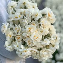 Bridal Crown