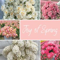 Mix Joy of Spring