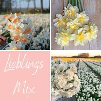 Lieblings Mix